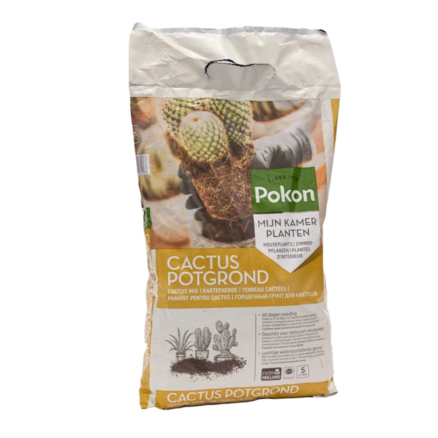 Pokon Cactus Growing Medium 5L | Agrimark