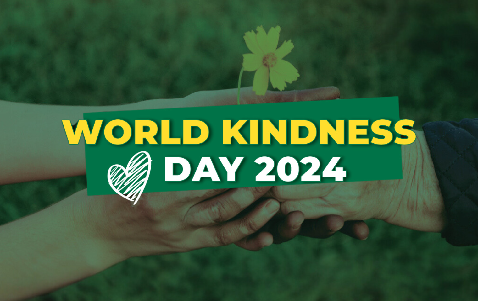 World Kindness Day Spotlight