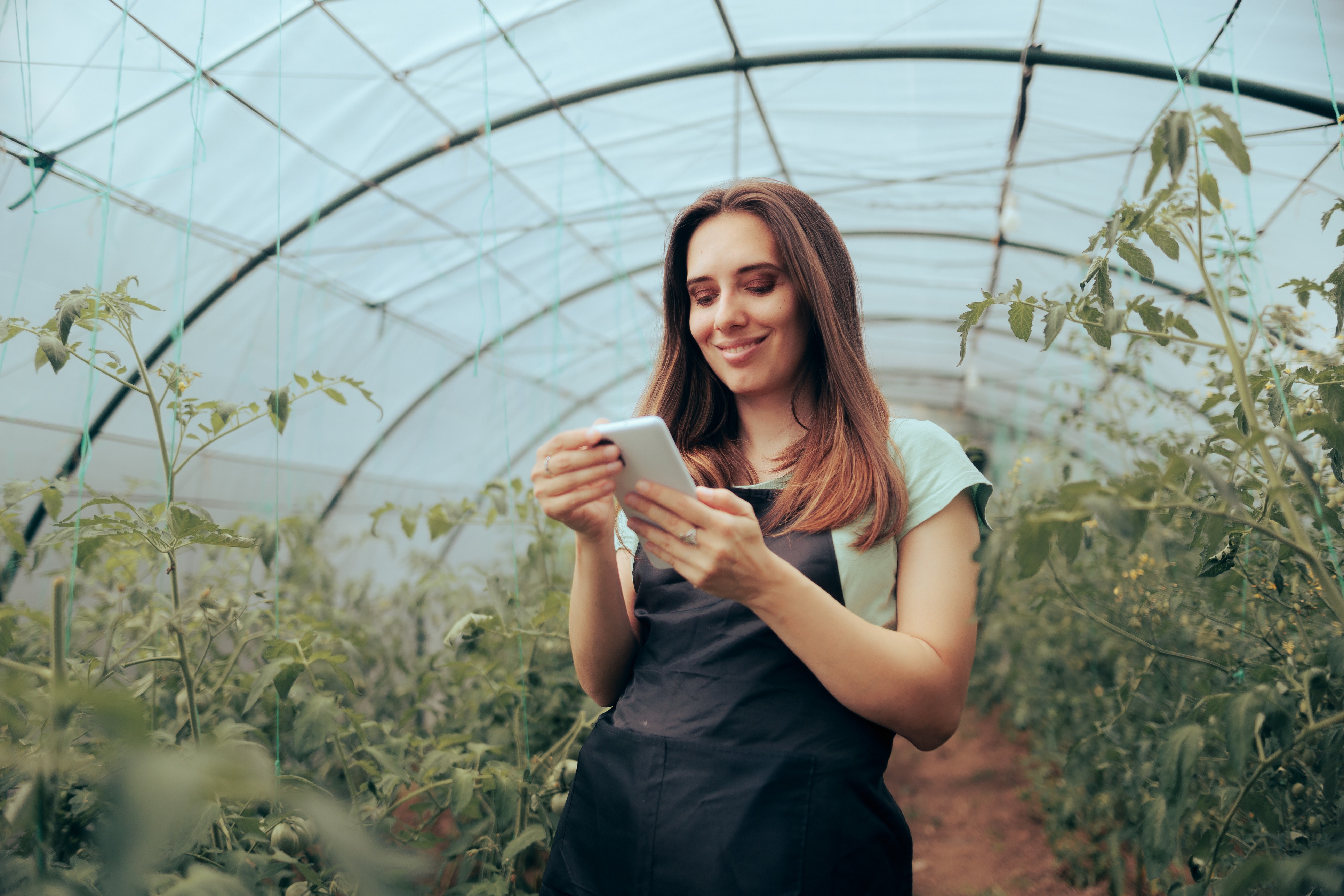 Explore the New Agrimark App and Account Portal Features