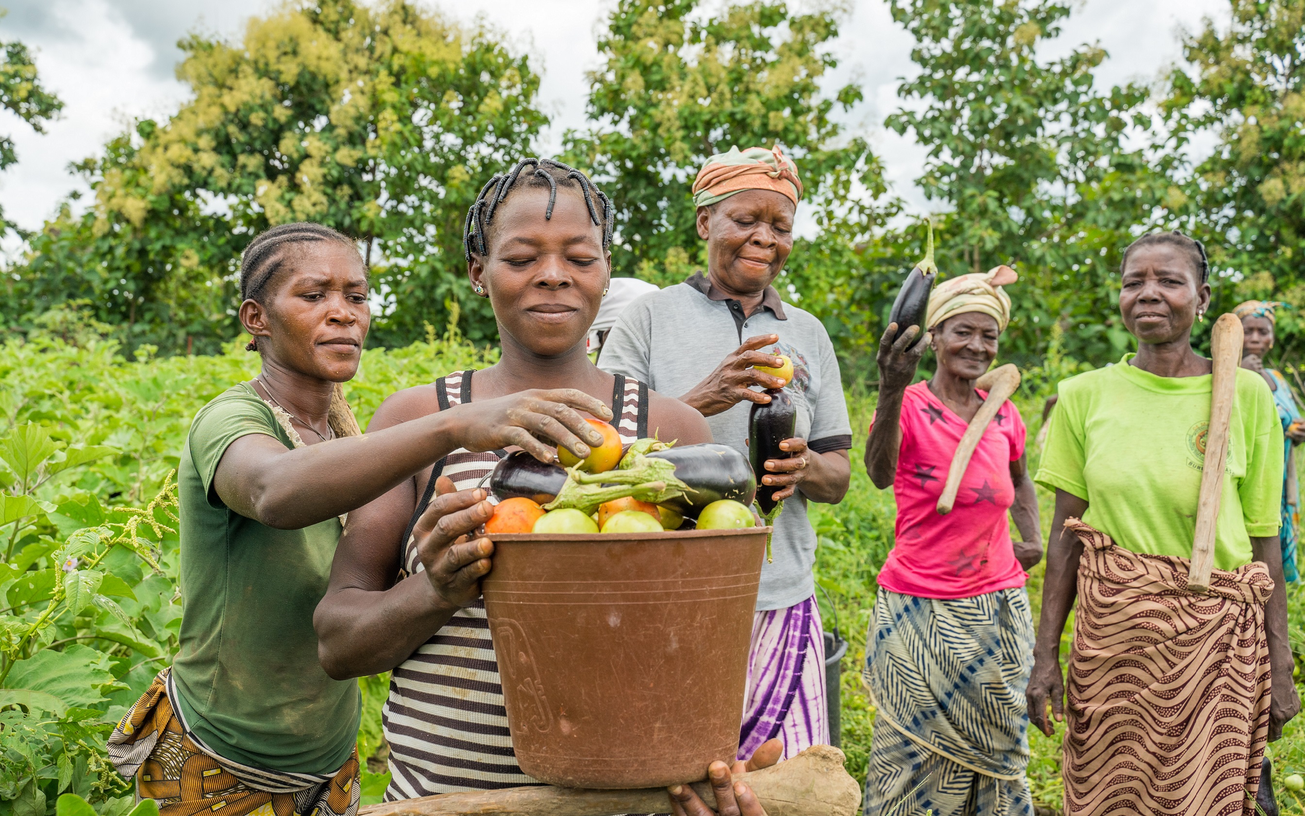 Food security and why it matters