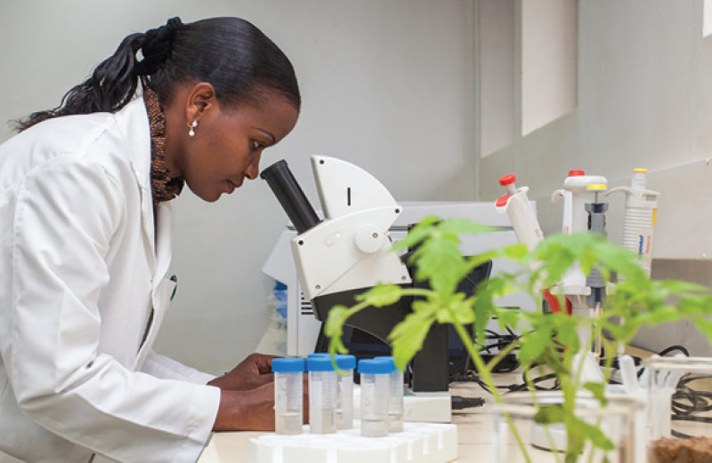 Amplifying the Influence of Science