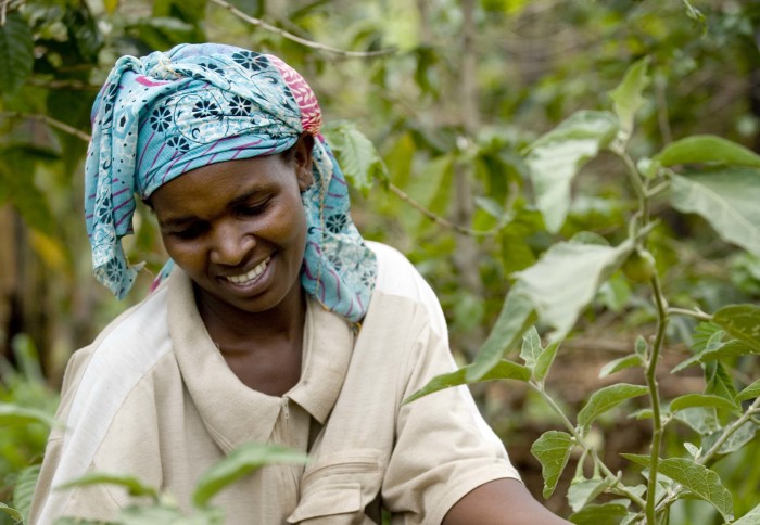 Food security