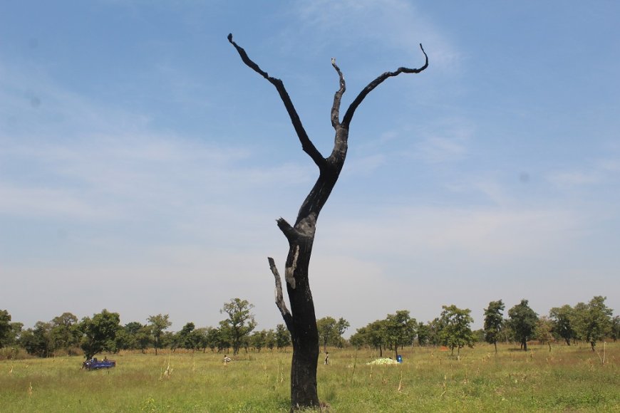 Climate change
