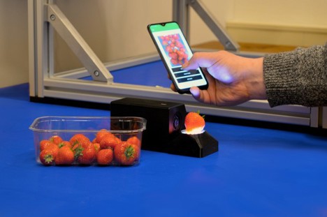 Scanner de morangos (Imagem: OneThird)