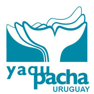 Yaqupacha