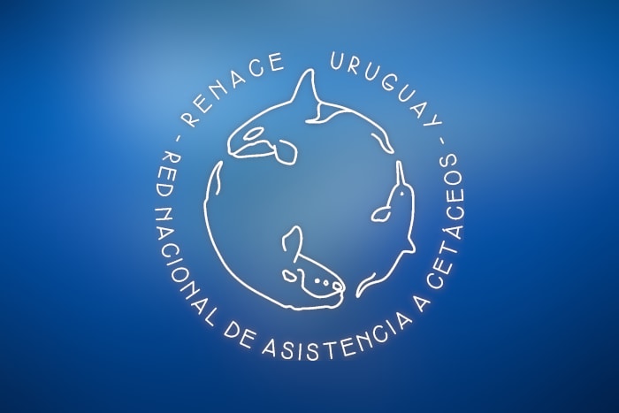 RENACE Red Nacional de Asistencia a Cetáceos del Uruguay 