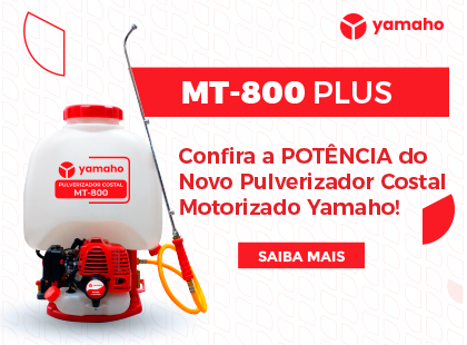 Lançamento - MT-800