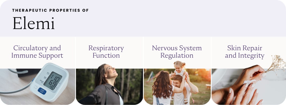 Elemi Essential Oil Benefits: From Skin Repair to Nervous System Support — article image 4