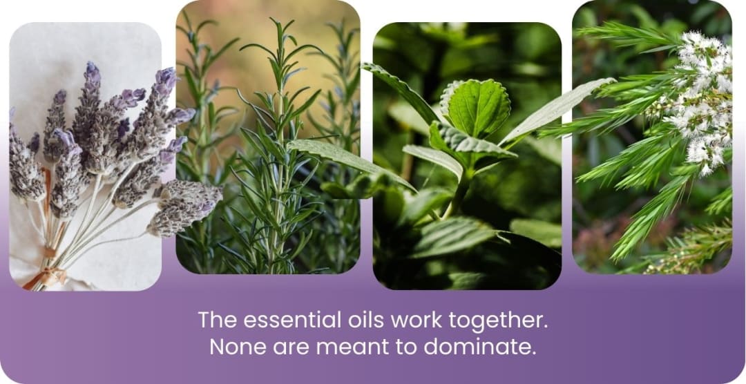 All Natural Hair Growth Oil with Aromatherapy — article image 3