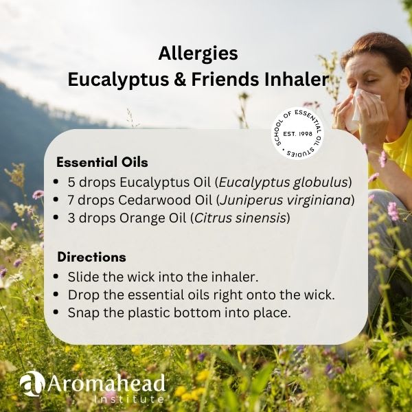 Eucalyptus: The Allergy Whisperer—Understanding and Using Essential Oils for Allergy Relief — article image 1