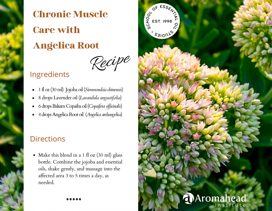 Inflammation, Pain, and Angelica Root for Holistic Relief — article image 1