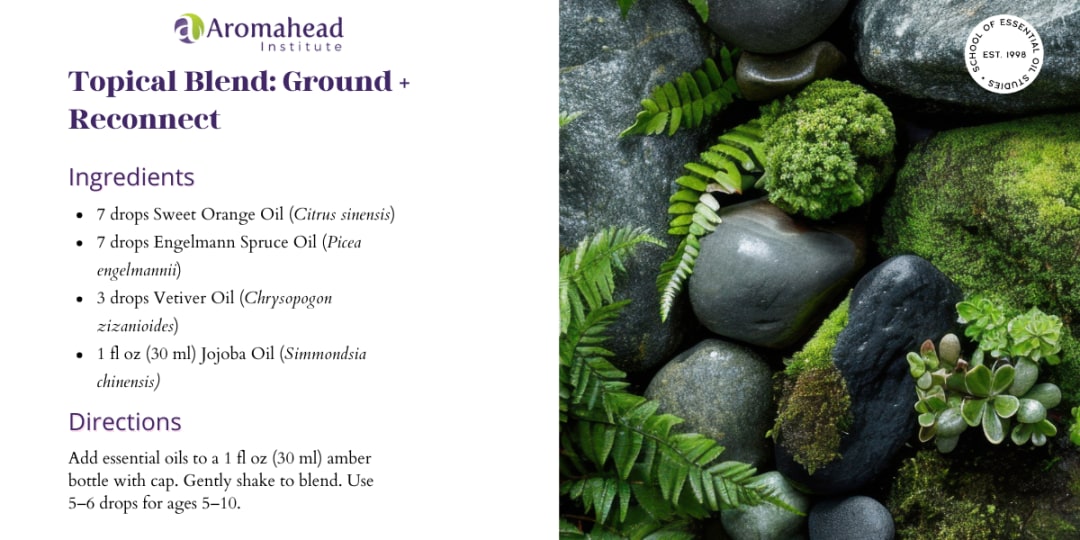 Natural Nervous System Reset: Aromatic Tools For a Sensory Weary World — article image 3