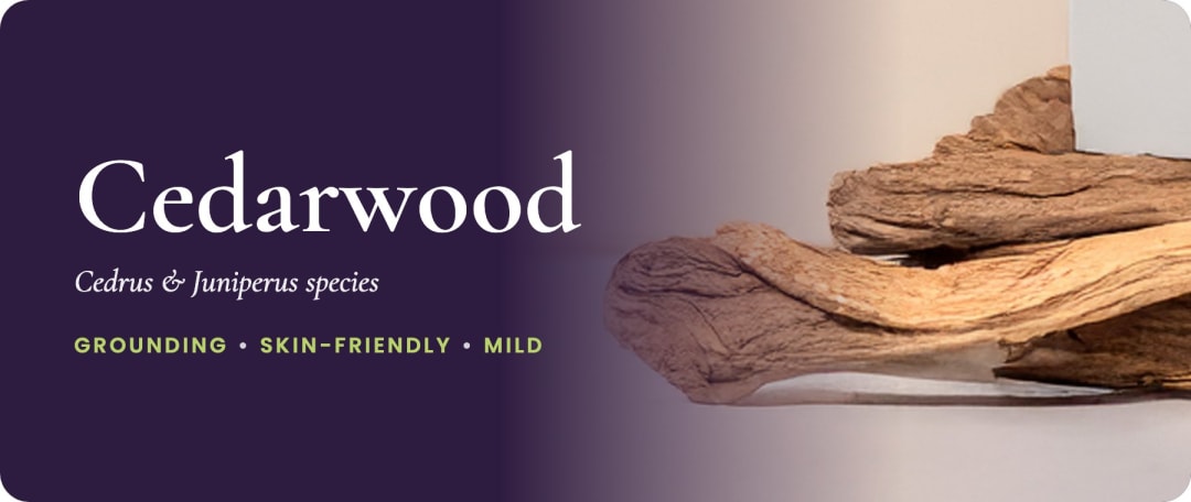 Pieces of cedarwood beside the words Cedarwood, Cedrus and Juniperus species: grounding, skin-friendly, mild