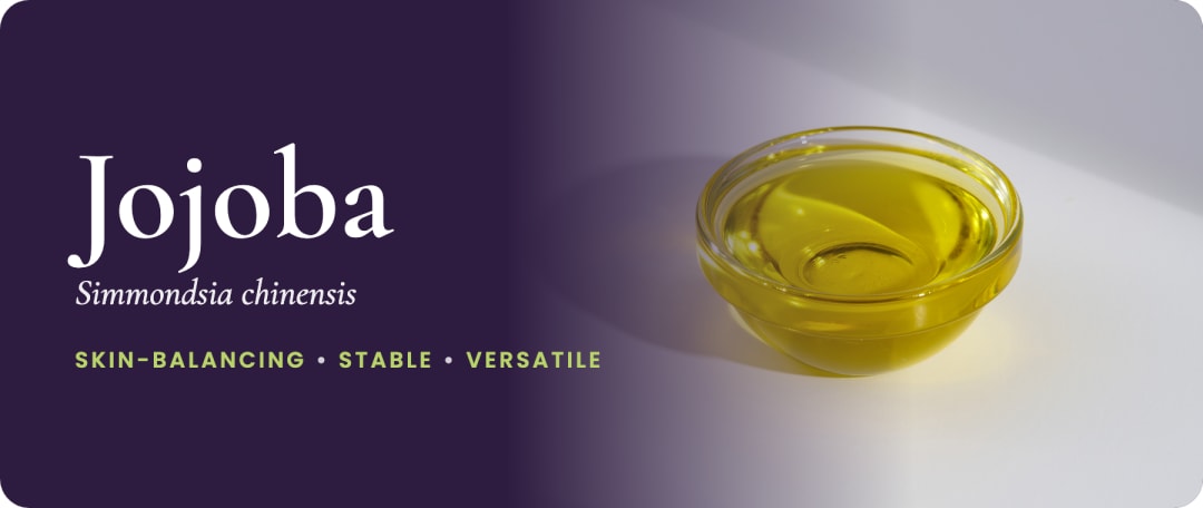 Jojoba (Simmondsia chinensis): skin-balancing, stable, versatile