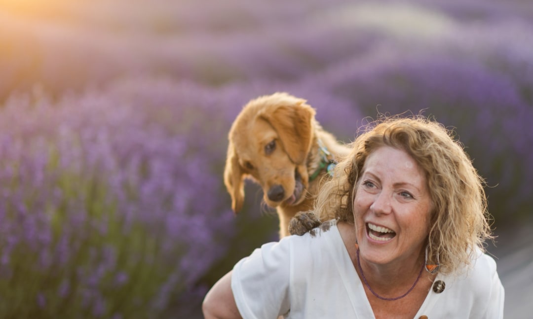 Woman laughing with a golden retriever leaning over her shoulder in a lavender field at sunset