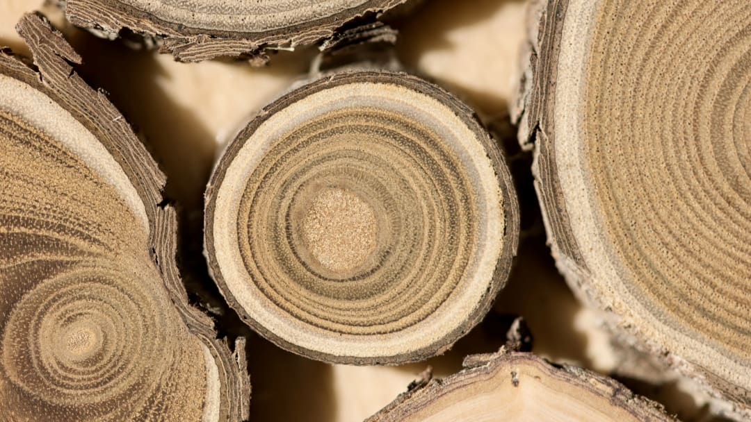 Hawaiian Sandalwood