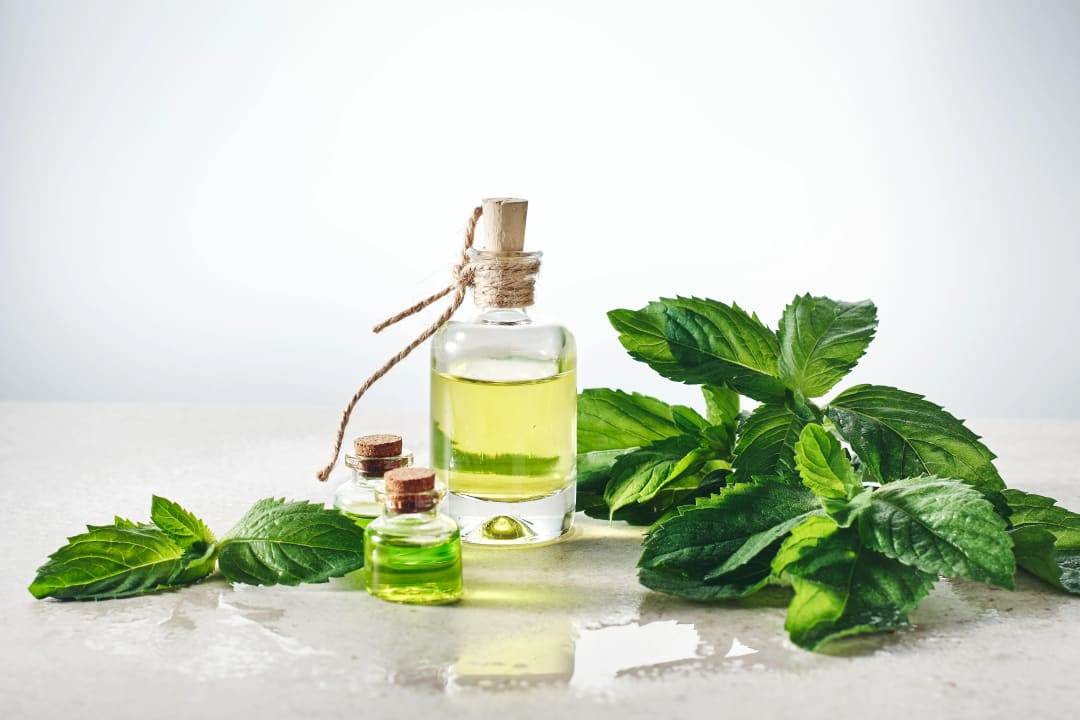 3 Ways to Use Peppermint Essential Oil (and 1 way not to)