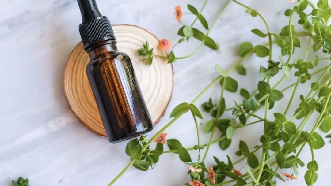 A Holiday Recipe Warm Resin Citrus Body Oil