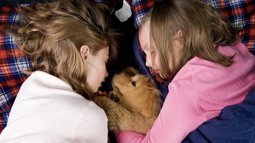 Do You Have These Essential Oils to Help Kids Sleep?