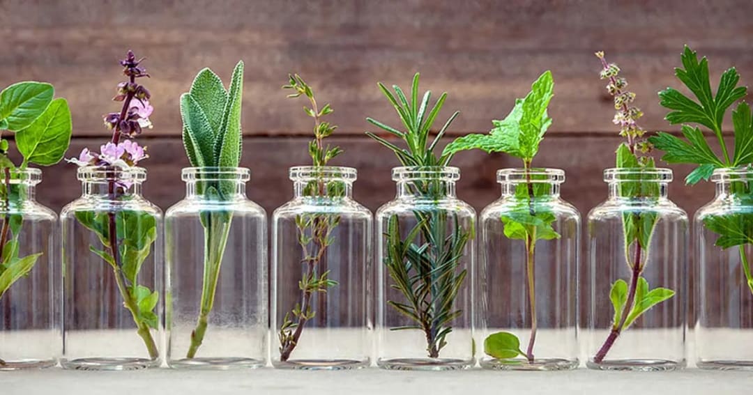 A Love for Holistic Health became a Full-Time Aromatherapy Career