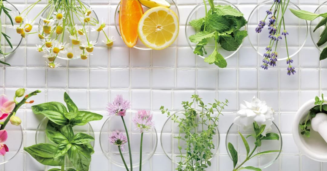Your Own Line of Essential Oil Products
