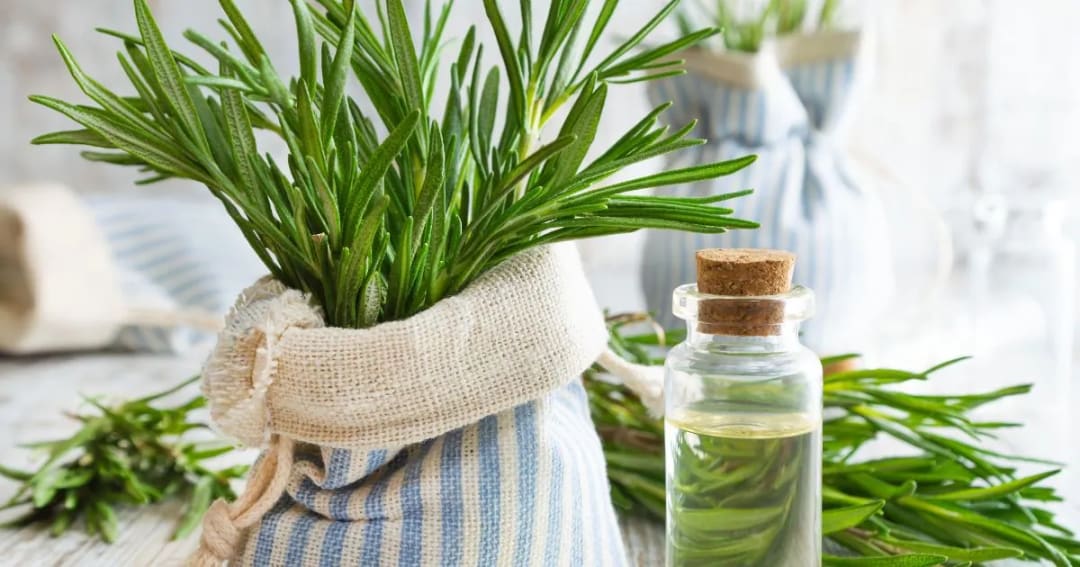 Which Essential Oils are Best to Relieve Stress Headaches?