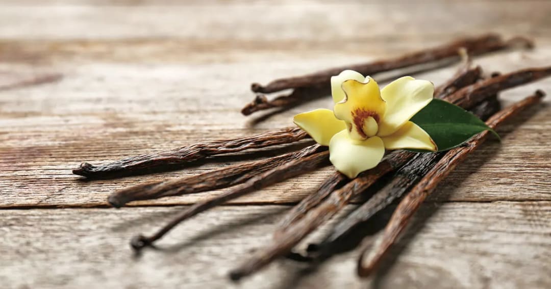 How to Make Vanilla Infused Jojoba