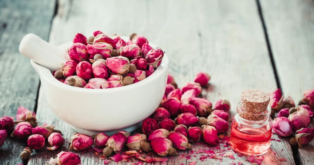 Restorative, Relaxant, and Hormonal Harmony: The Multifaceted Benefits of Rose