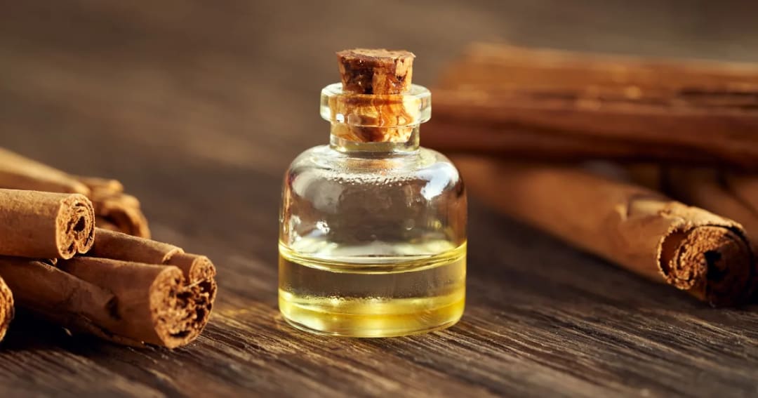 Benefits & Uses of Cinnamon Bark Oil