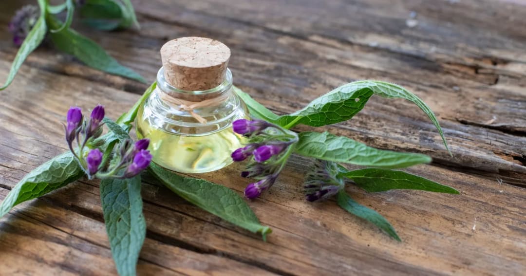 Comfrey Hydrosol: Using Knitbone for Fractures & Joint Care