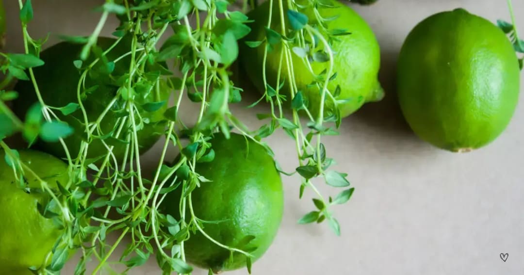 Lime Thyme: A Sun-Safe Citrus Blend for Kids’ First Aid