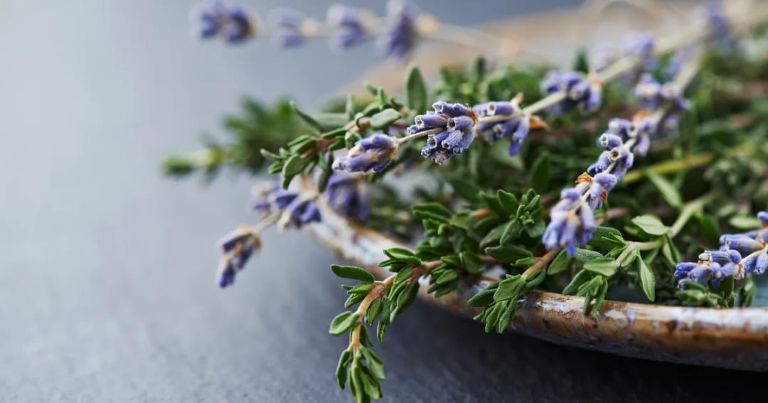 Essential Oil Internal Usage Foundations, Aromahead Institute aromatherapy training