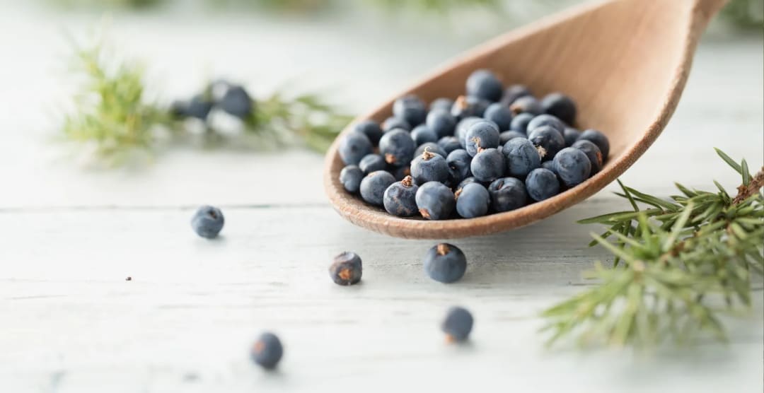 Muscle & Joint Relief: Juniper Berry Essential Oil