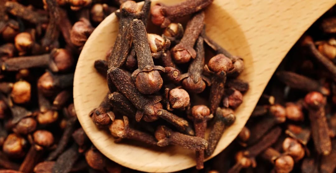 What is Clove Bud Oil Good For: Benefits & Uses