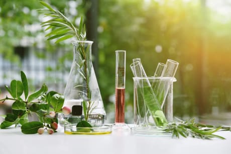 Essential Oil Chemistry: 1,8-Cineole Benefits, Safety, and Oils High in Eucalyptol