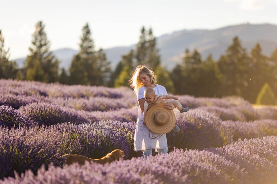 Mother carrying a child through a lavender field at sunset with mountains in the distance