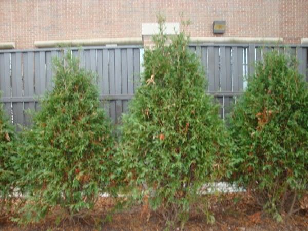 ALUMINUM FENCE