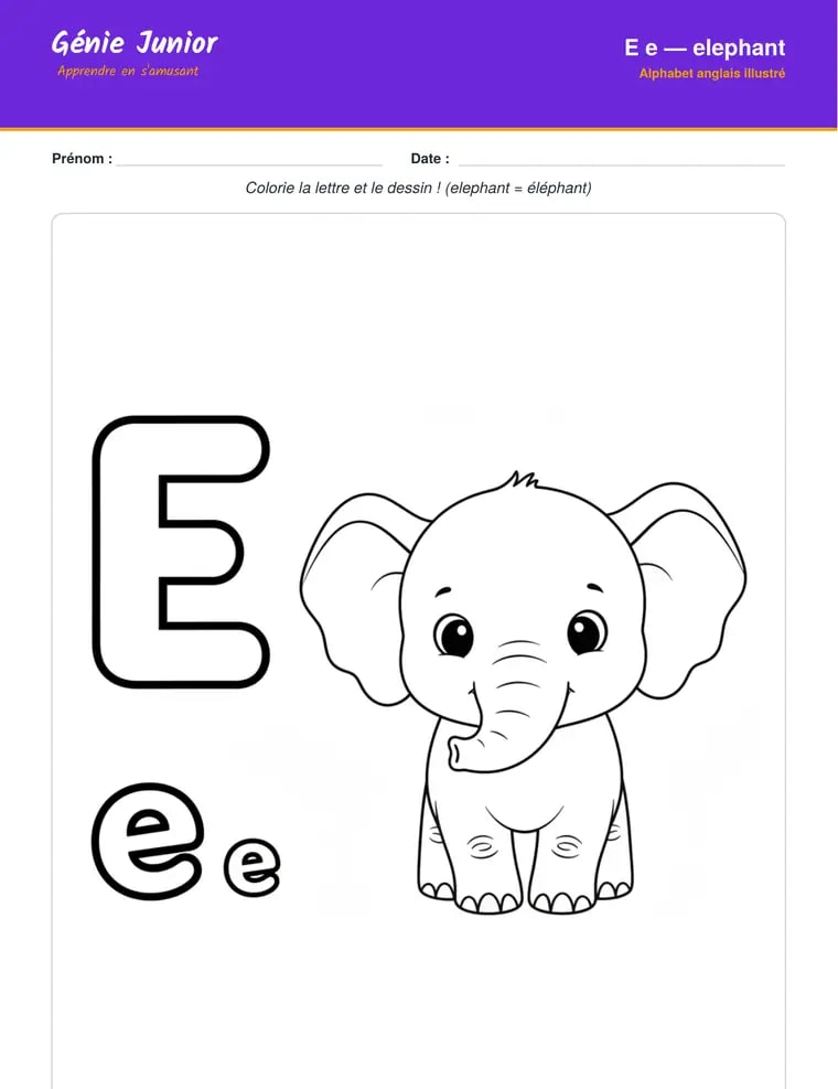 Alphabet anglais illustré : E comme elephant