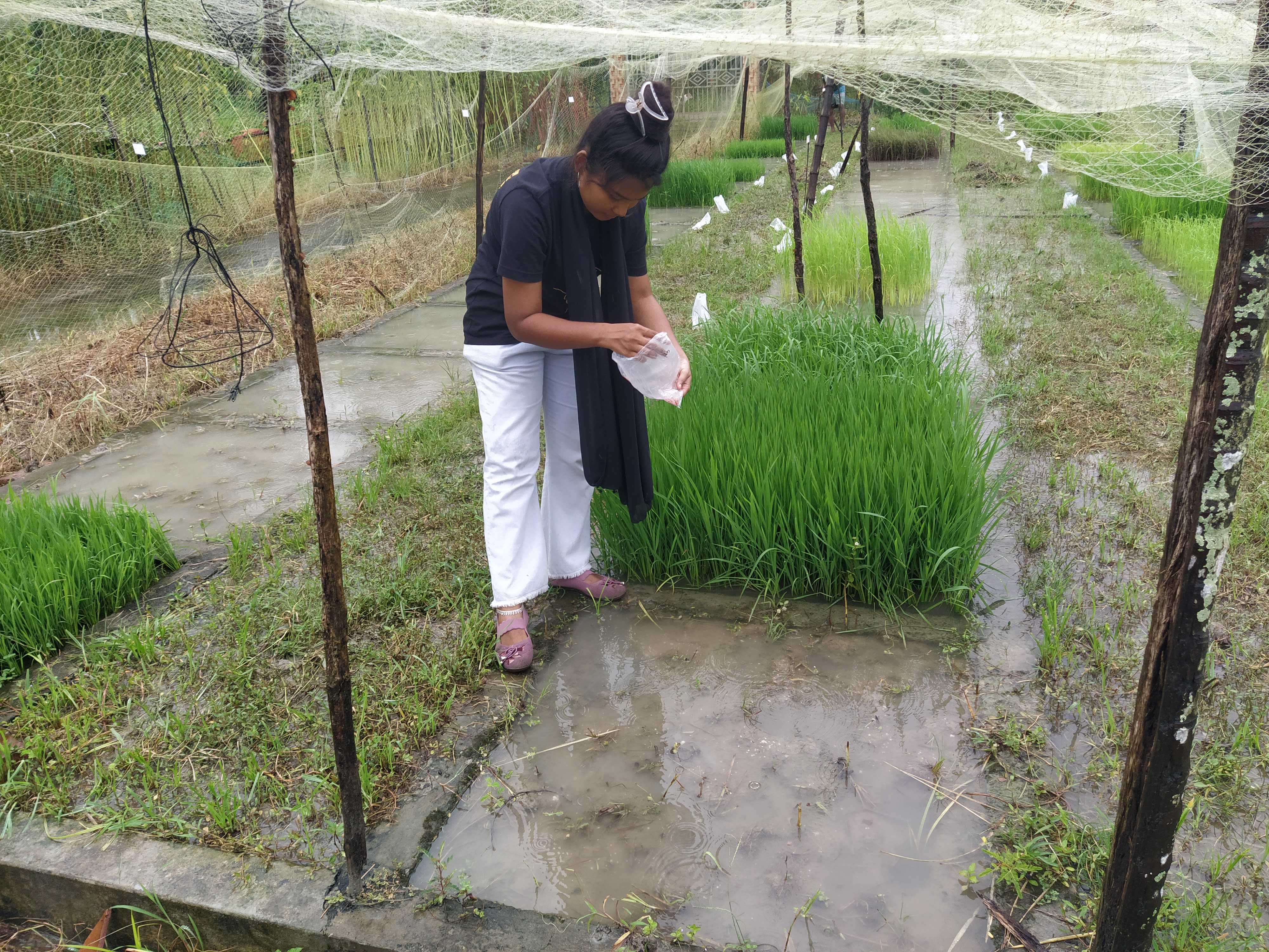 Lab Activity - Aditi Das Tuli