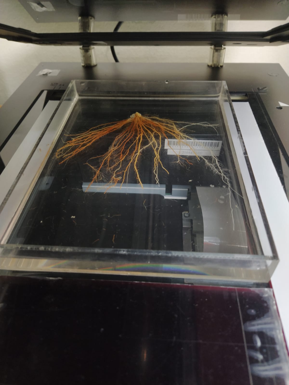 Lab Activity — Aditi Das Tuli