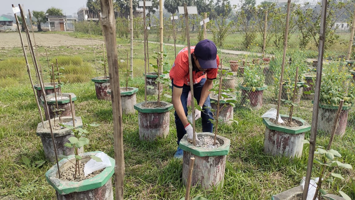 Lab Activity — Hridoy Dey