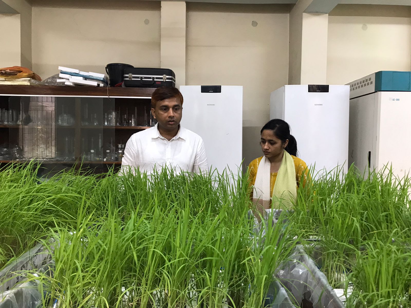 Lab Activity — Mitu Datta