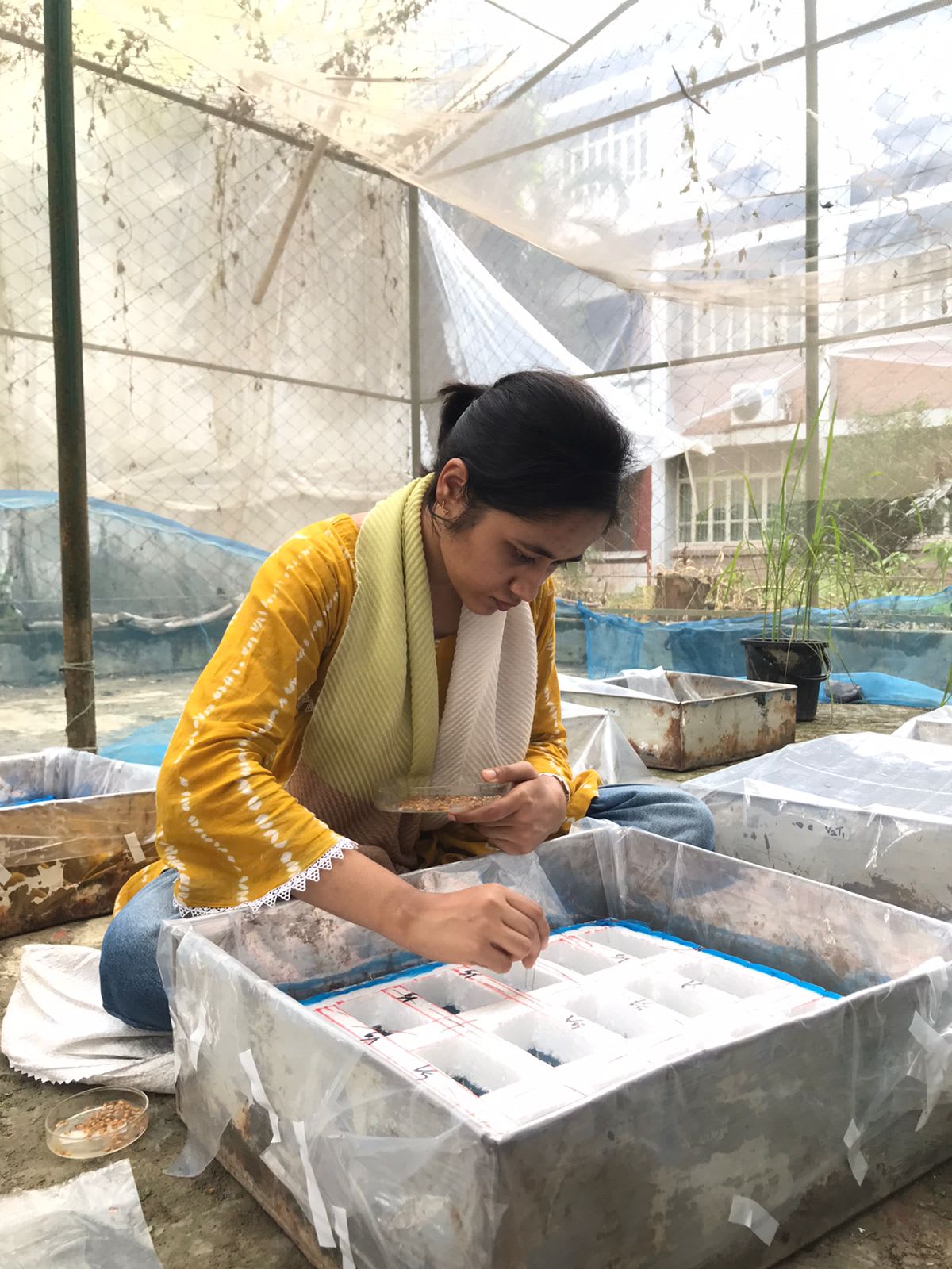 Lab Activity — Mitu Datta