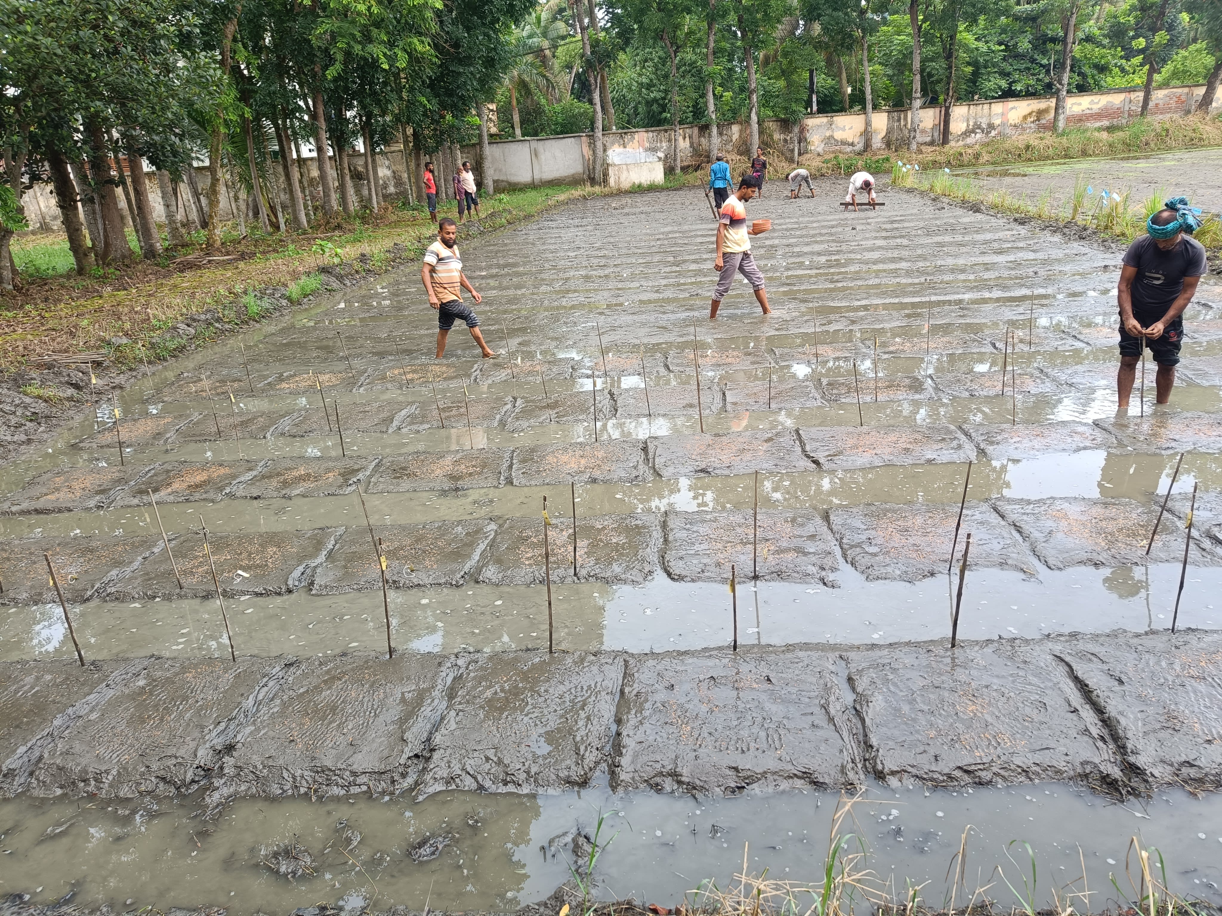 Lab Activity — Niloy Kundu