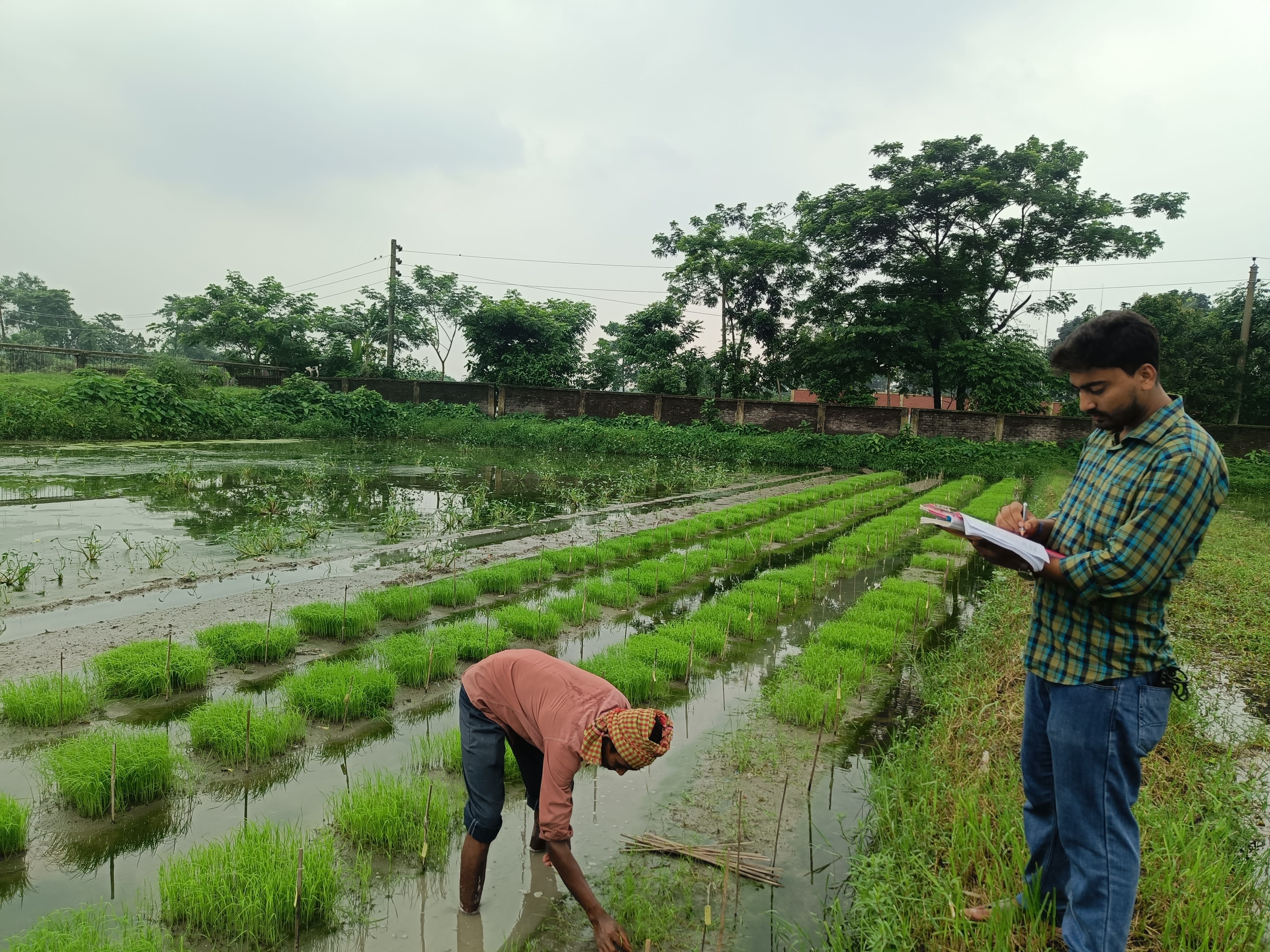 Lab Activity — Niloy Kundu