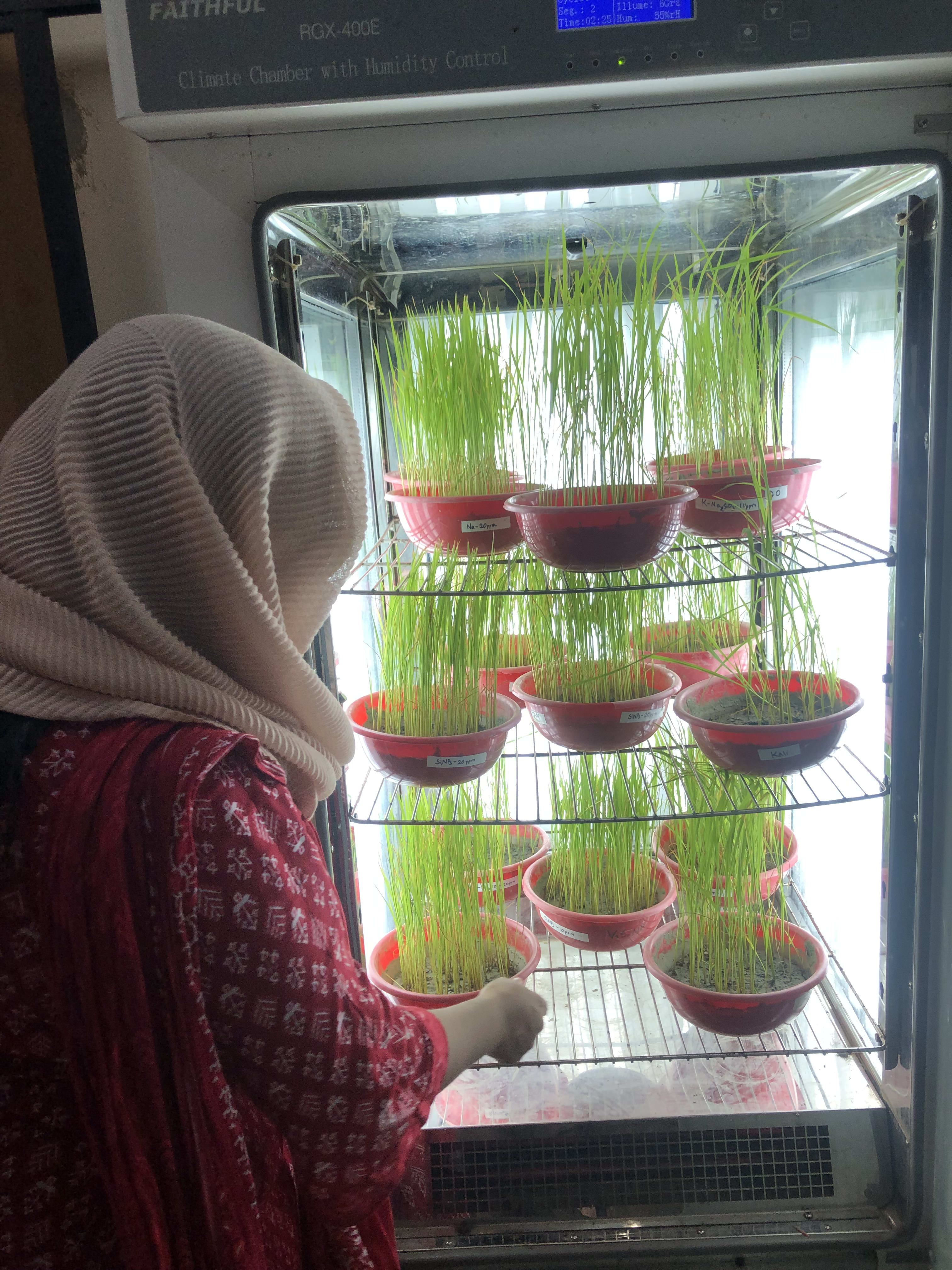 Lab Activity — Sameera Mamun Nabila