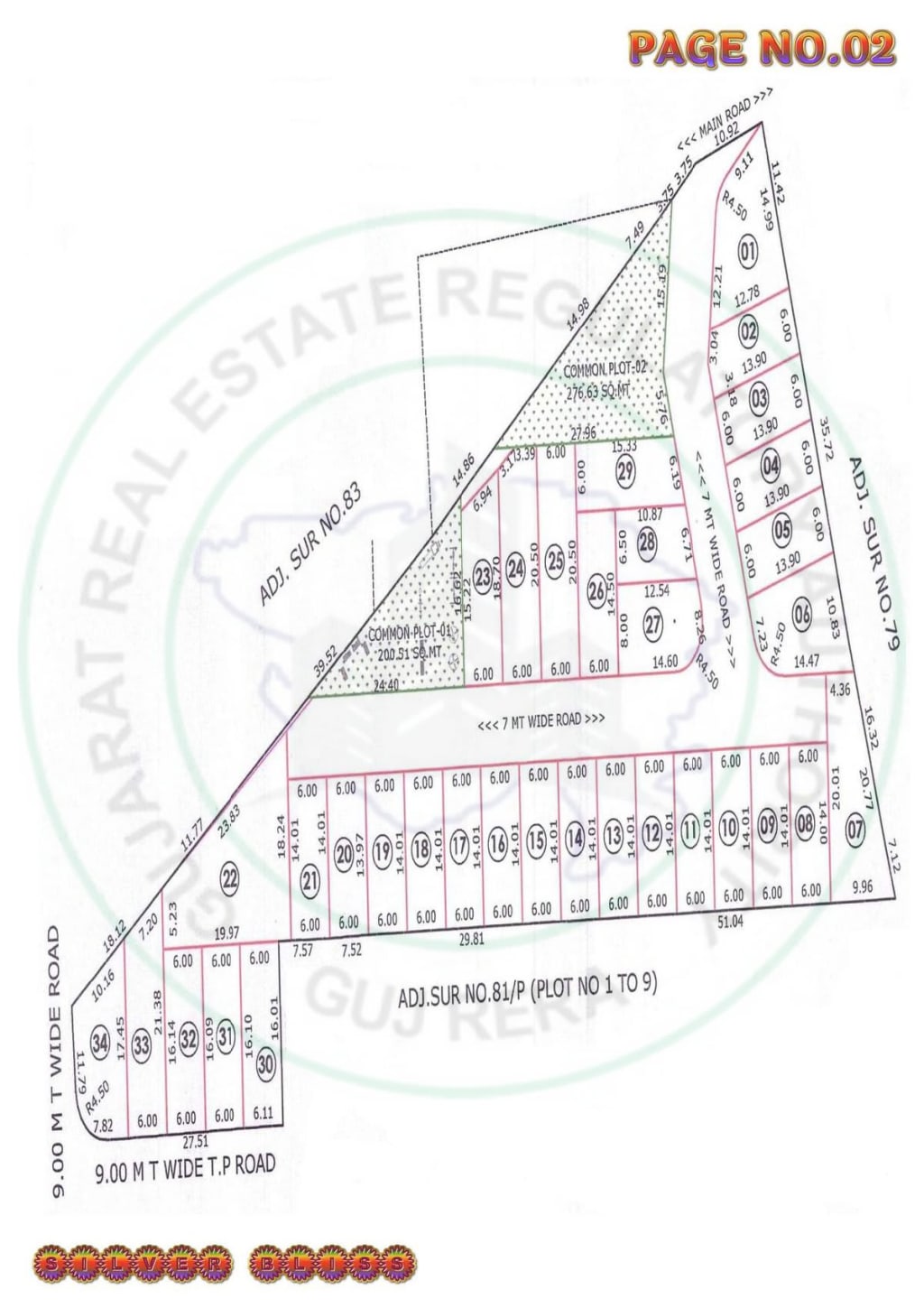 Silver Bliss — brochure image 2