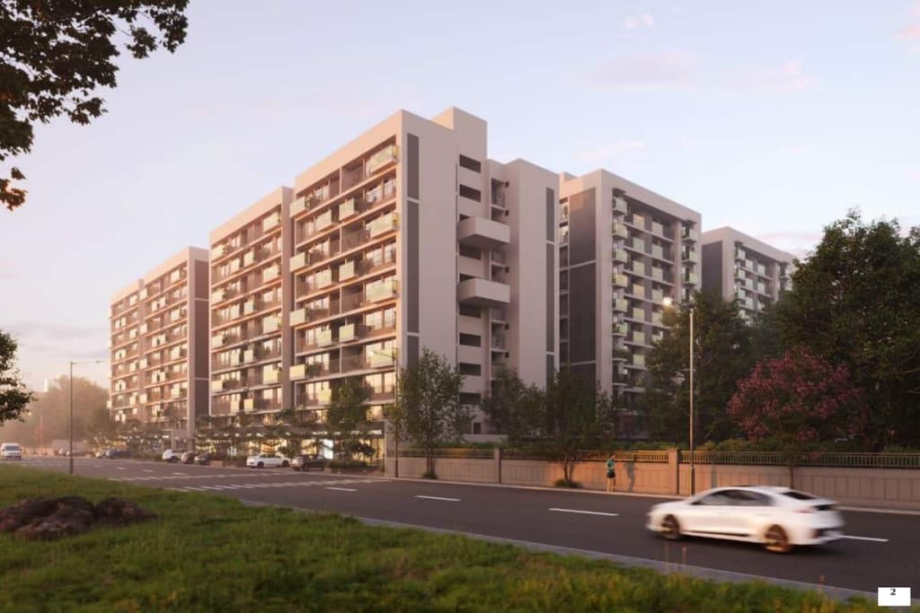 The Olive — brochure image 2