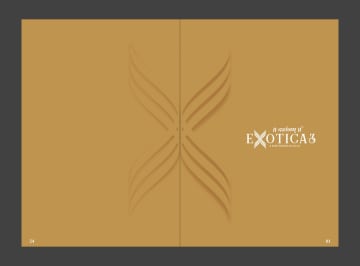 Darshanam Exotica 3 — brochure image 1