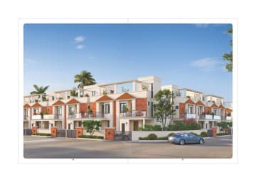 Palm Exotica — brochure image 12